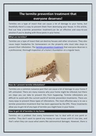 The Best Termite Prevention Treatment Options for Your Home