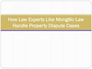 How Law Experts Like Mongillo Law Handle Property Dispute Cases
