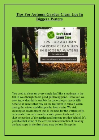 Tips For Autumn Garden Clean Ups In Biggera Waters