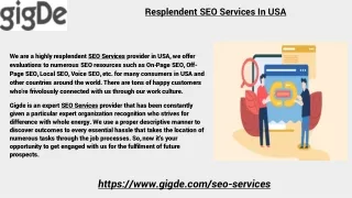resplendent seo services in usa