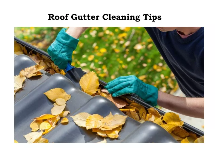 roof gutter cleaning tips