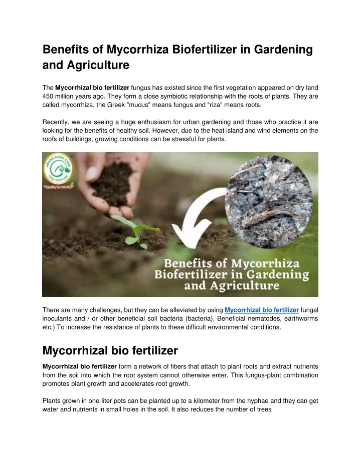 benefits of mycorrhiza biofertilizer in gardening