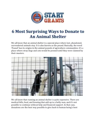 6 Most Surprising Ways to Donate to An Animal Shelter
