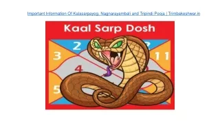 Important Information Of Kalasarpayog, Nagnarayambali and Tripindi Pooja | Trimb