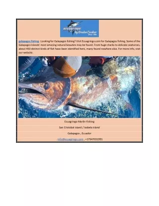 Galapagos Fishing | Ecuagringo.com