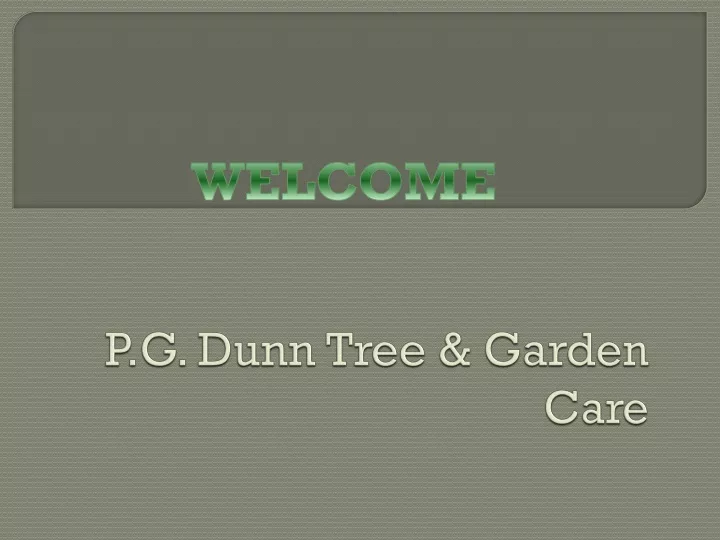 p g dunn tree garden care