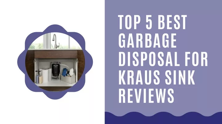 top 5 best garbage disposal for kraus sink reviews