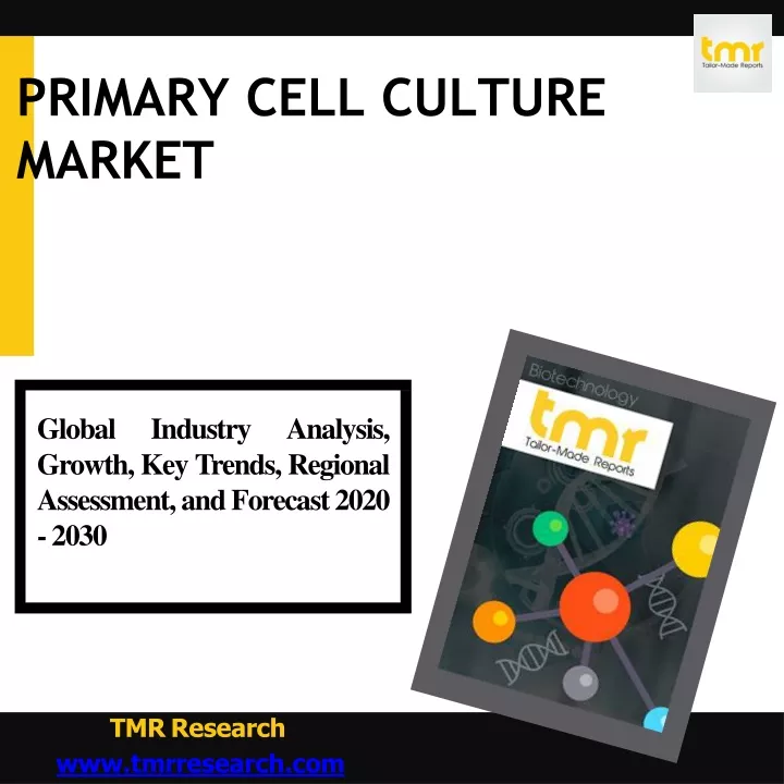 primary cell culture market