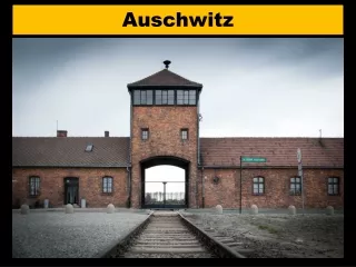 auschwitz