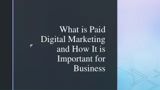 what is paid digital marketing and how it is important for business