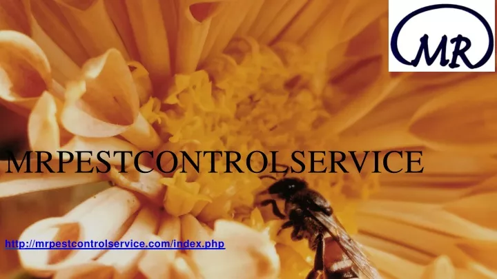 mrpestcontrolservice