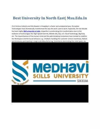 best university in north east msu edu in