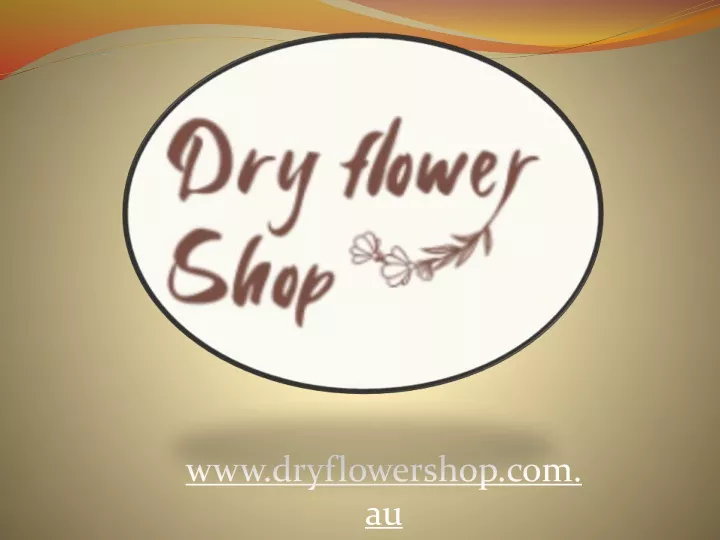 www dryflowershop com au