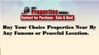 buy buy your your choice any any famous famous or