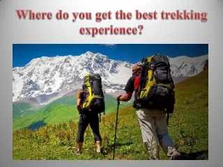 Where do you get the best trekking experience
