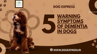 dog express