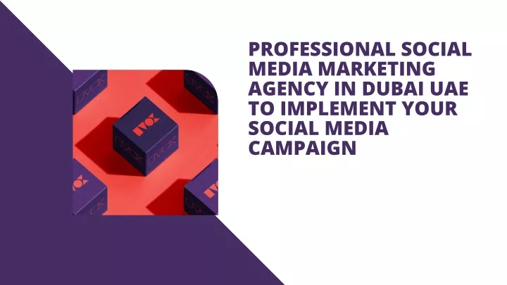 professional social media marketing agency