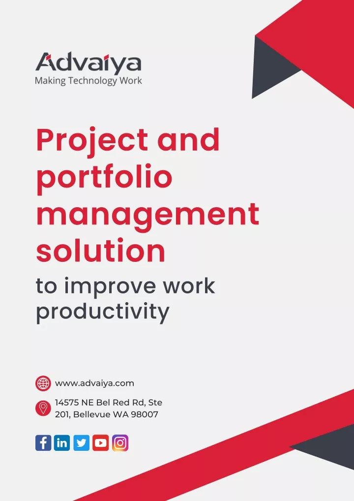 project and portfolio management solution