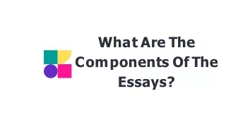 What Are The Components Of The Essays?