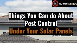 Things You Can do About Pest Control Under Your Solar Panels