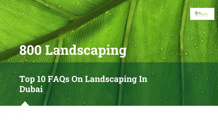 800 landscaping top 10 faqs on landscaping in dubai