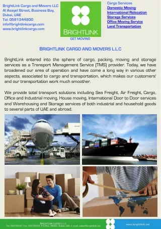 International Movers Dubai