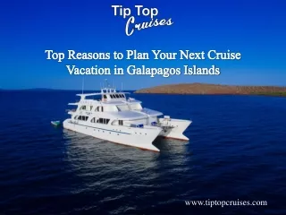 Top Reasons to Plan Your Next Cruise Vacation in Galapagos Islands