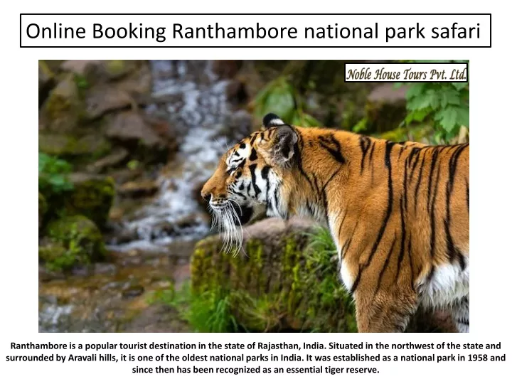 online booking ranthambore national park safari