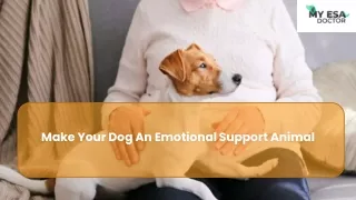 How To Register My Dog As An Emotional Support Animal