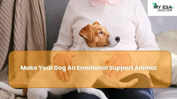 make your dog an emotional support animal
