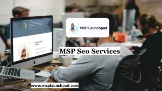 MSP Seo Services