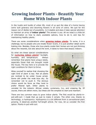 Growing Indoor Plants - Beautify Your Home With Indoor Plants