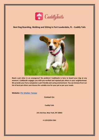 Best Pet Walker Tampa, Walking and Sitting in Fort Lauderdale, FL - Cuddly Tails