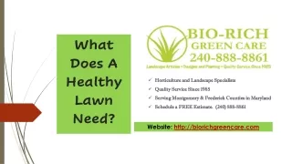 What Does A Healthy Lawn Need?
