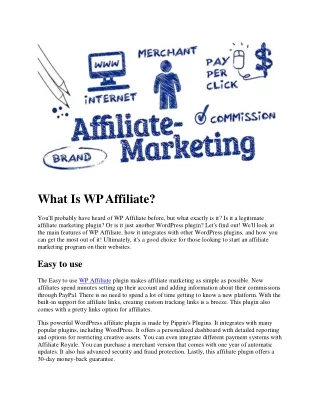 What Is WP Affiliate?