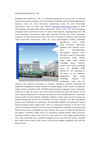 zhejiang qizhi motor co ltd