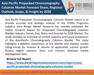 asia pacific prepacked chromatography columns