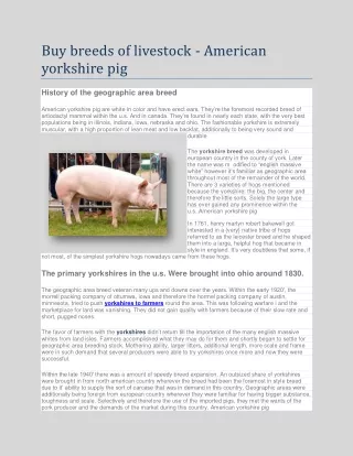 Buy breeds of livestock - American yorkshire pig