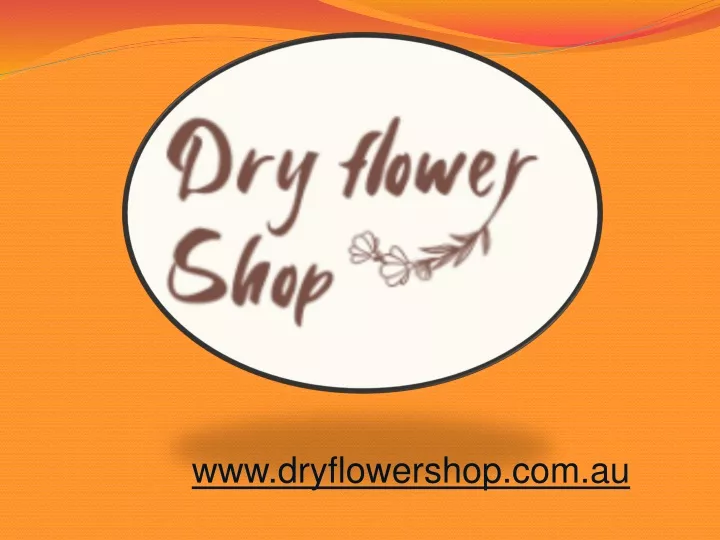 www dryflowershop com au