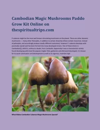 Cambodian Magic Mushrooms Paddo Grow Kit Online on thespiritualtrips.com
