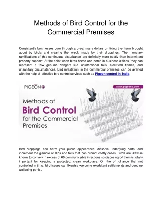 Methods of Bird Control for the Commercial Premises