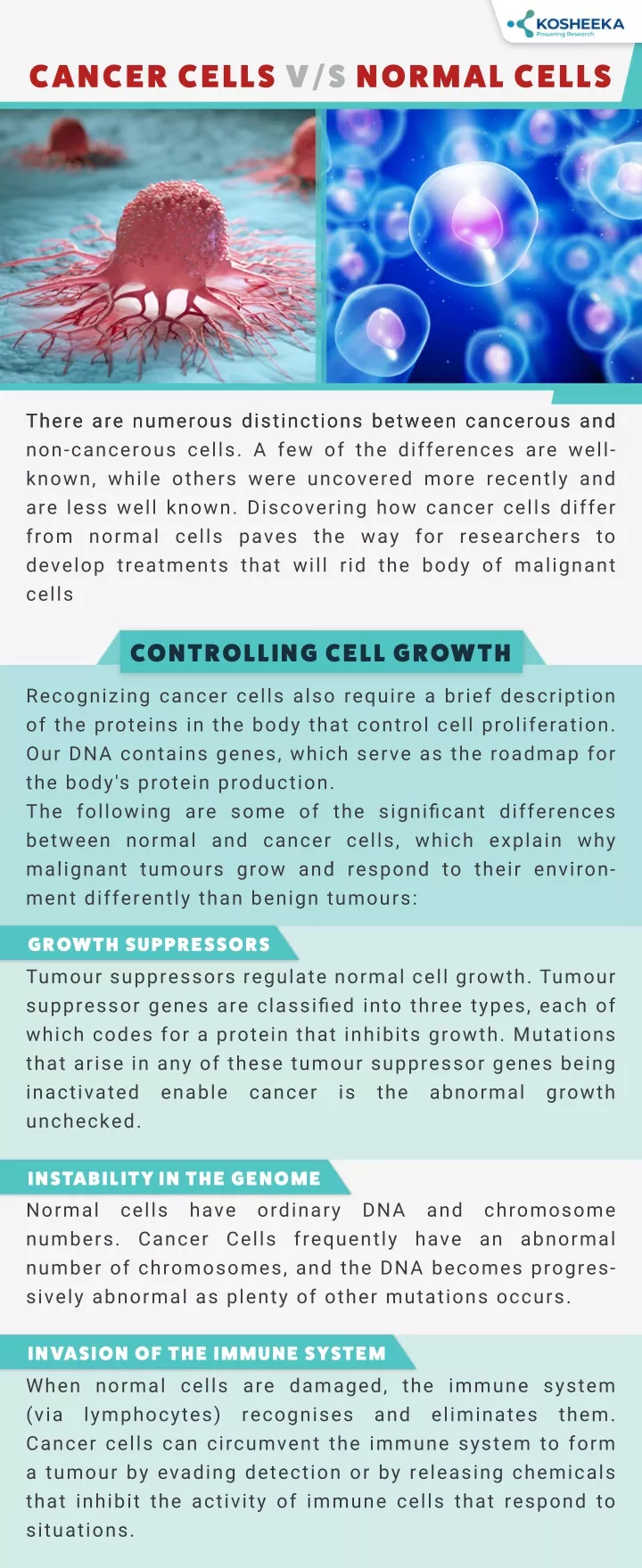 cancer cells v s normal cells