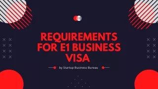 What are the Requirements for E1 Business Visa? | Startup Business Bureau