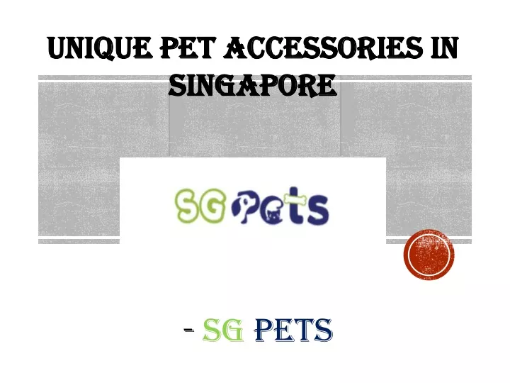 unique pet accessories in singapore