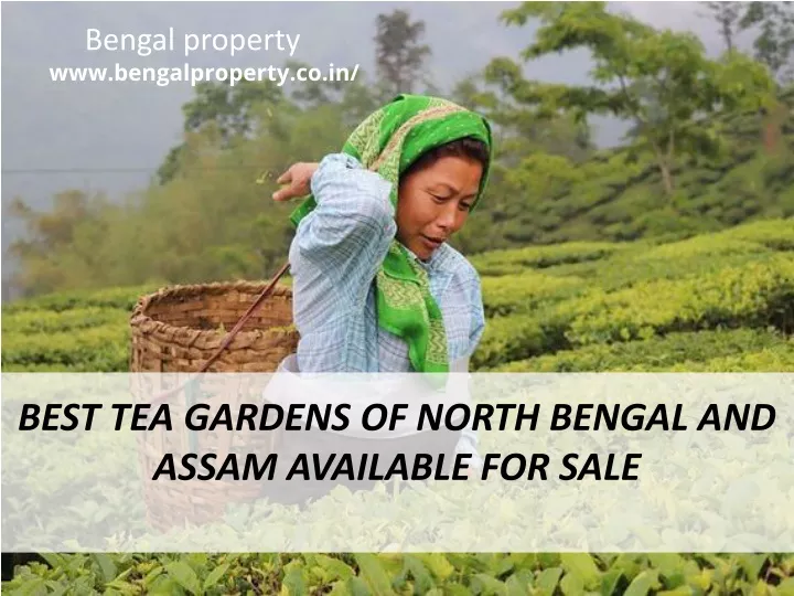 bengal property