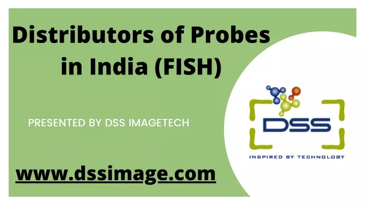distributors of probes in india fish