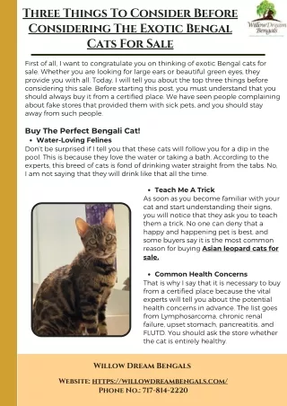 Three Things To Consider Before Considering The Exotic Bengal Cats For Sale
