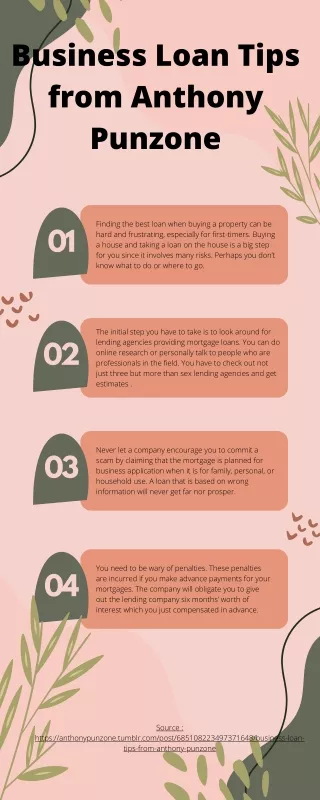 Business Loan Tips from Anthony Punzone