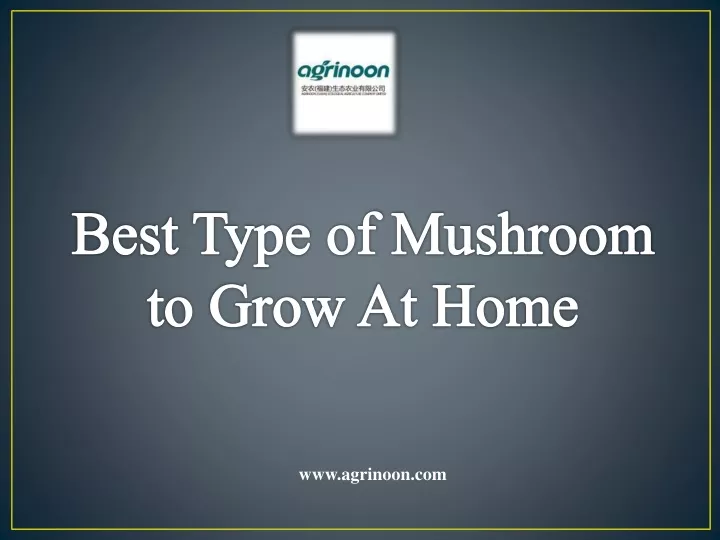 best type of mushroom to grow at home