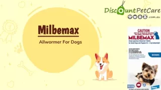 Buy Milbemax All Wormer For Dogs | DiscountPetCare